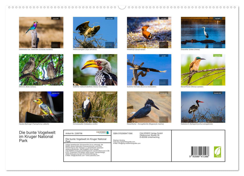 Die bunte Vogelwelt im Kruger National Park (CALVENDO Wandkalender 2027)