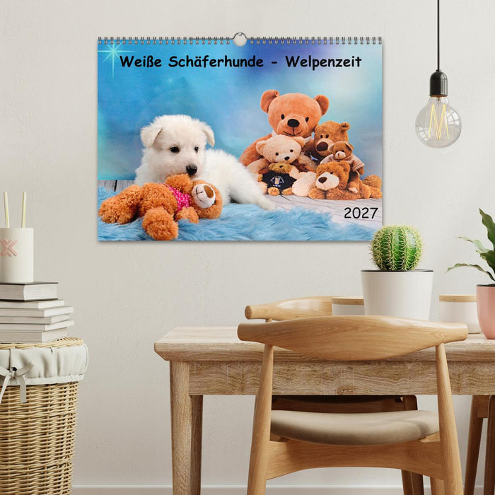 Weiße Schäferhunde - Welpenzeit (CALVENDO Wandkalender 2027)