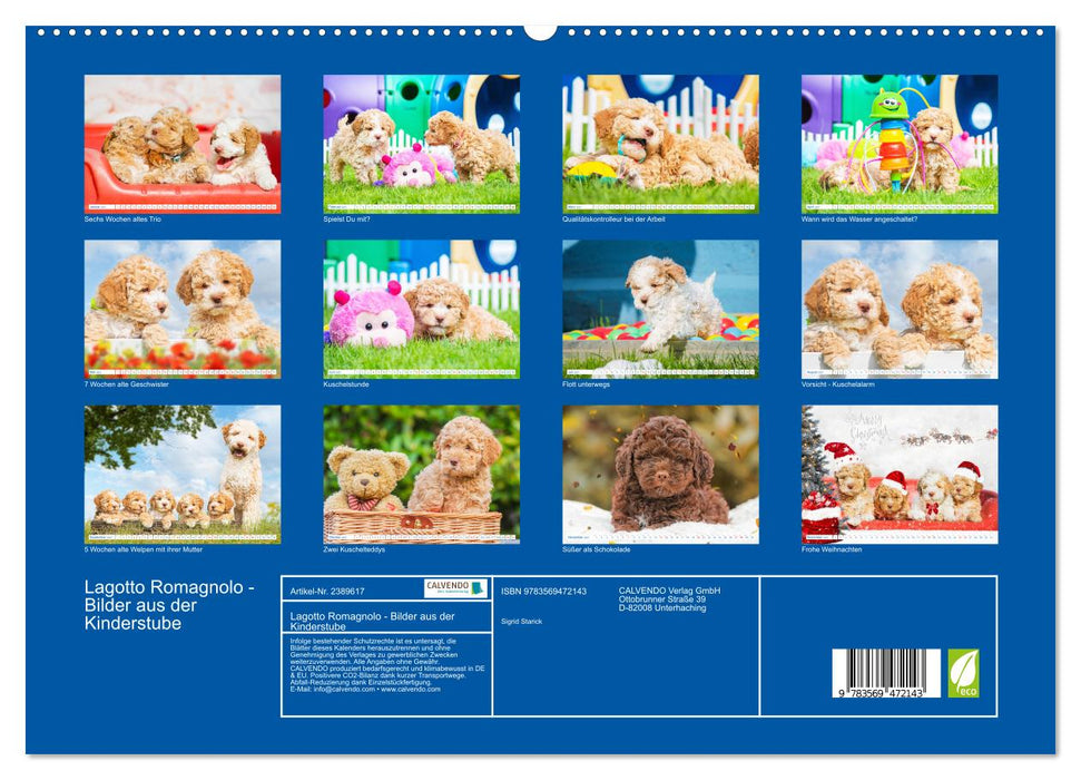 Lagotto Romagnolo - Bilder aus der Kinderstube (CALVENDO Wandkalender 2027)