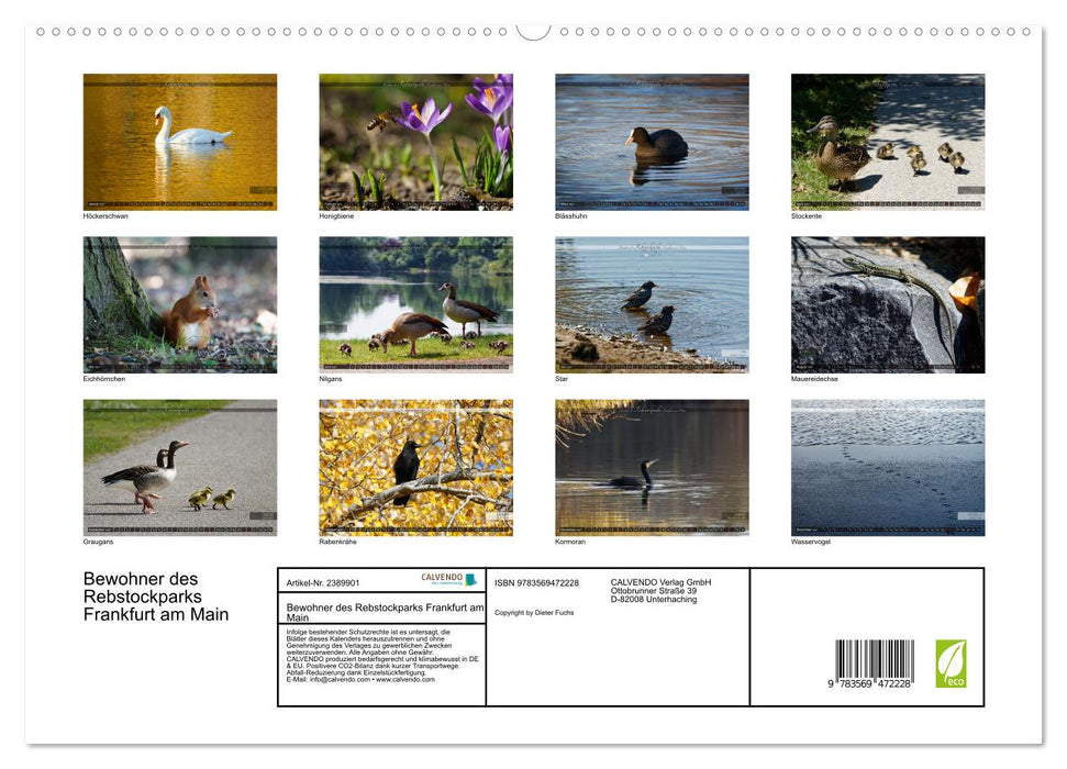 Bewohner des Rebstockparks Frankfurt am Main (CALVENDO Wandkalender 2027)