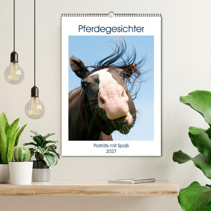 Pferdegesichter - Porträts mit Spaß (CALVENDO Wandkalender 2027)