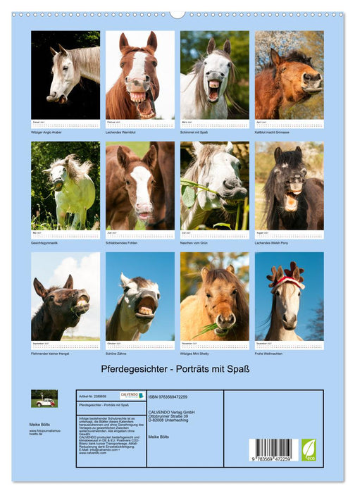 Pferdegesichter - Porträts mit Spaß (CALVENDO Wandkalender 2027)