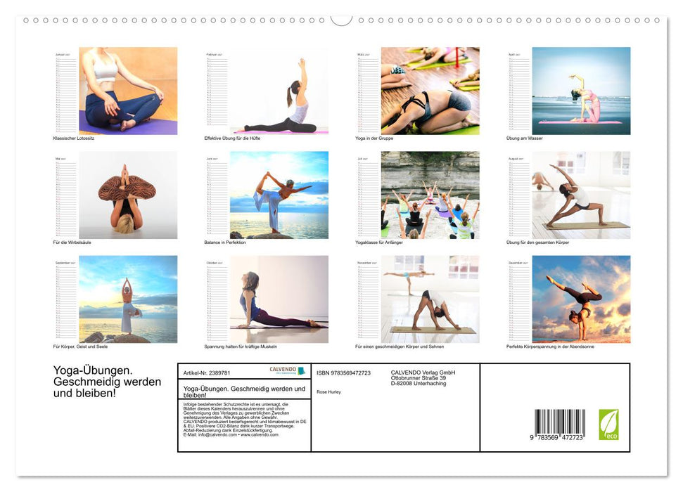 Yoga-Übungen. Geschmeidig werden und bleiben! (CALVENDO Wandkalender 2027)