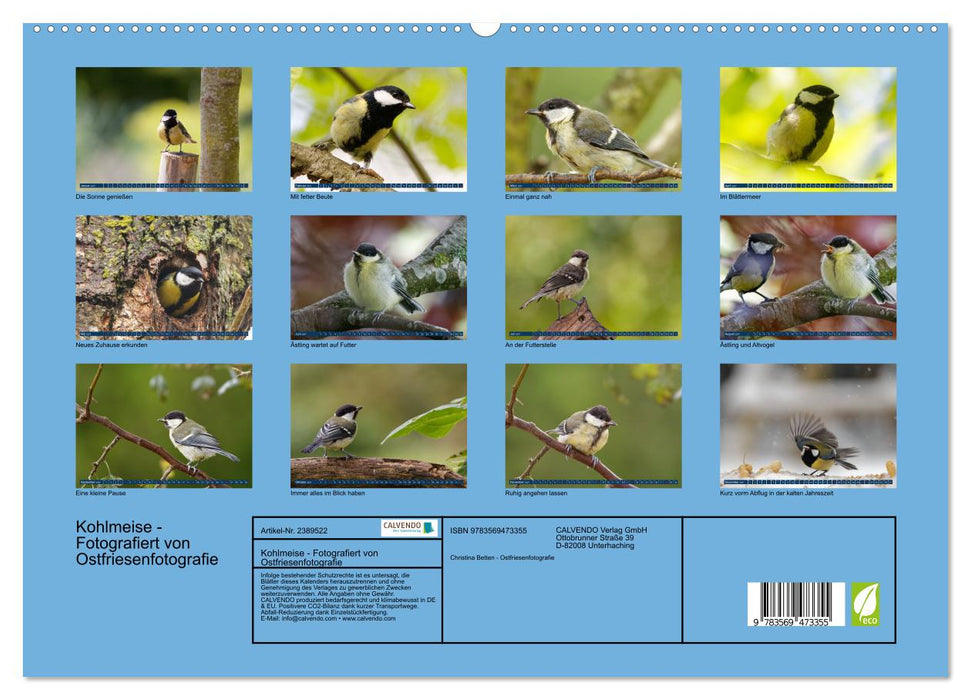 Kohlmeise - Fotografiert von Ostfriesenfotografie (CALVENDO Wandkalender 2027)