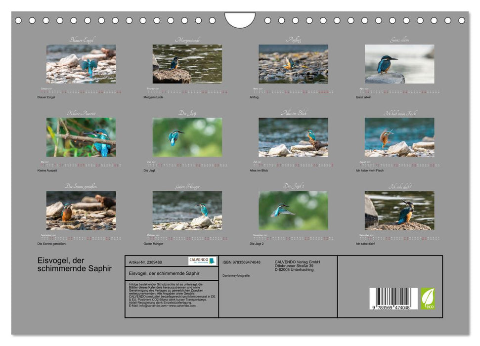 Eisvogel, der schimmernde Saphir (CALVENDO Wandkalender 2027)