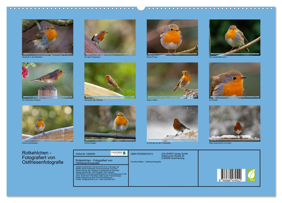 Rotkehlchen - Fotografiert von Ostfriesenfotografie (CALVENDO Wandkalender 2027)