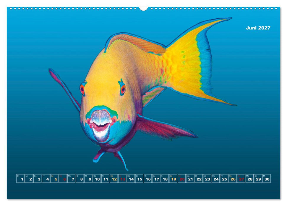 Unterwasser-Galerie (CALVENDO Premium Wandkalender 2027)
