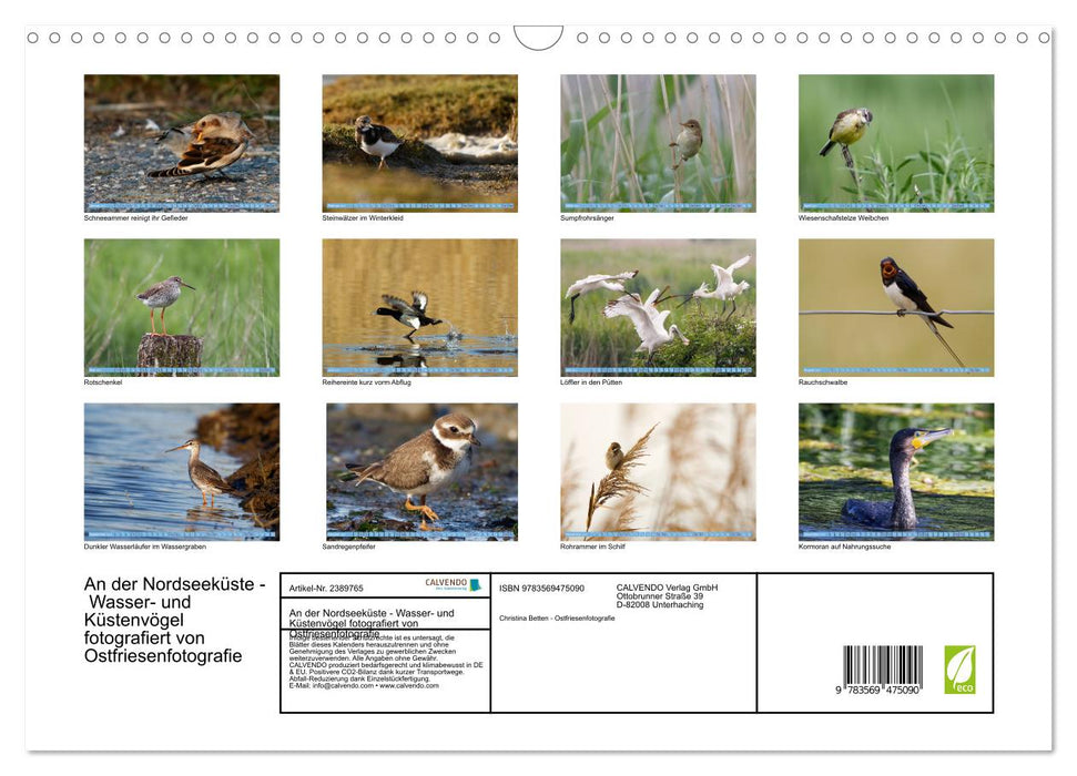 An der Nordseeküste - Wasser- und Küstenvögel fotografiert von Ostfriesenfotografie (CALVENDO Wandkalender 2027)