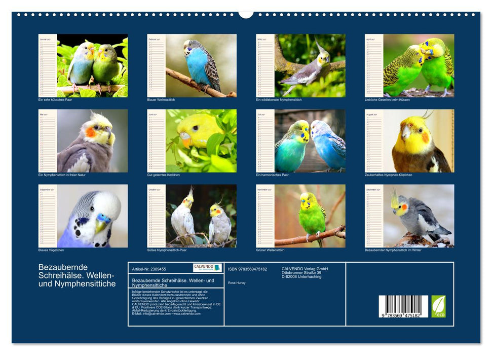 Bezaubernde Schreihälse. Wellen- und Nymphensittiche (CALVENDO Premium Wandkalender 2027)