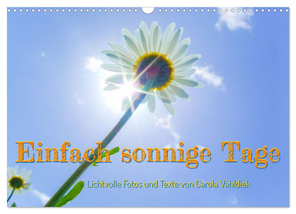 Einfach sonnige Tage (CALVENDO Wandkalender 2027)