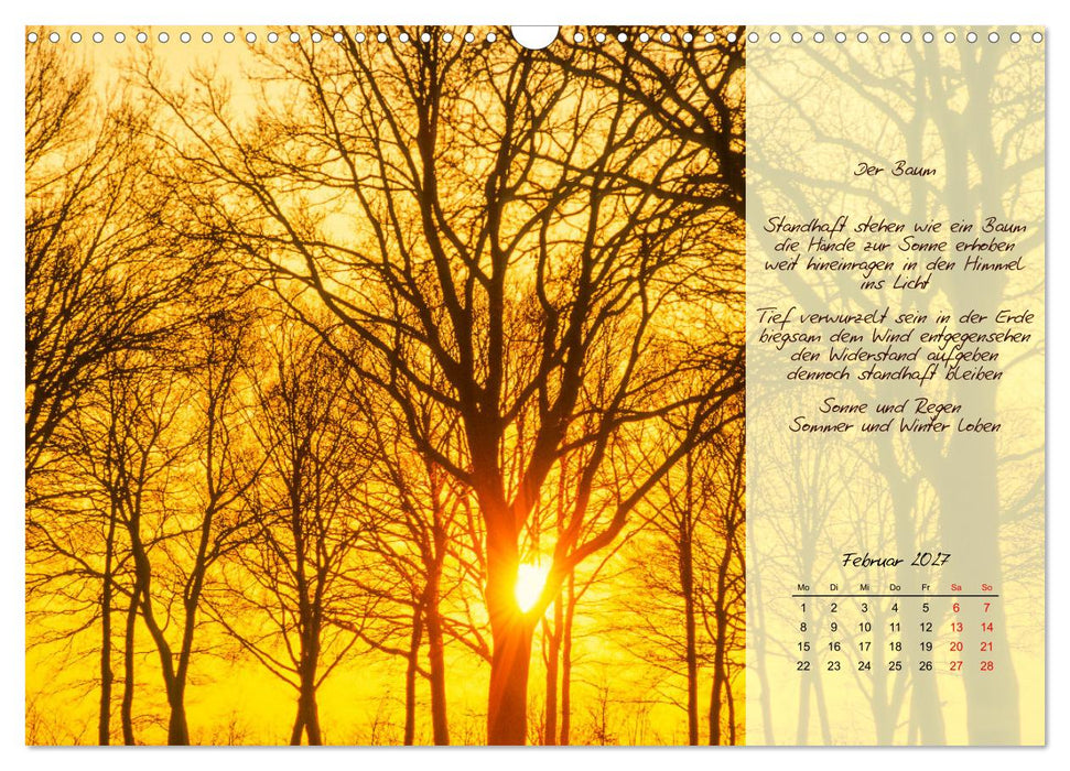 Einfach sonnige Tage (CALVENDO Wandkalender 2027)