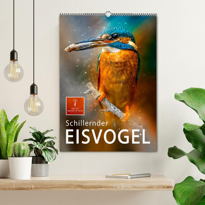 Schillernder Eisvogel (CALVENDO Wandkalender 2027)