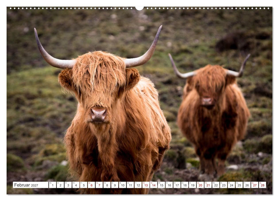 Isle of Skye - Eine Reise durch den Nordwesten Schottlands (CALVENDO Wandkalender 2027)