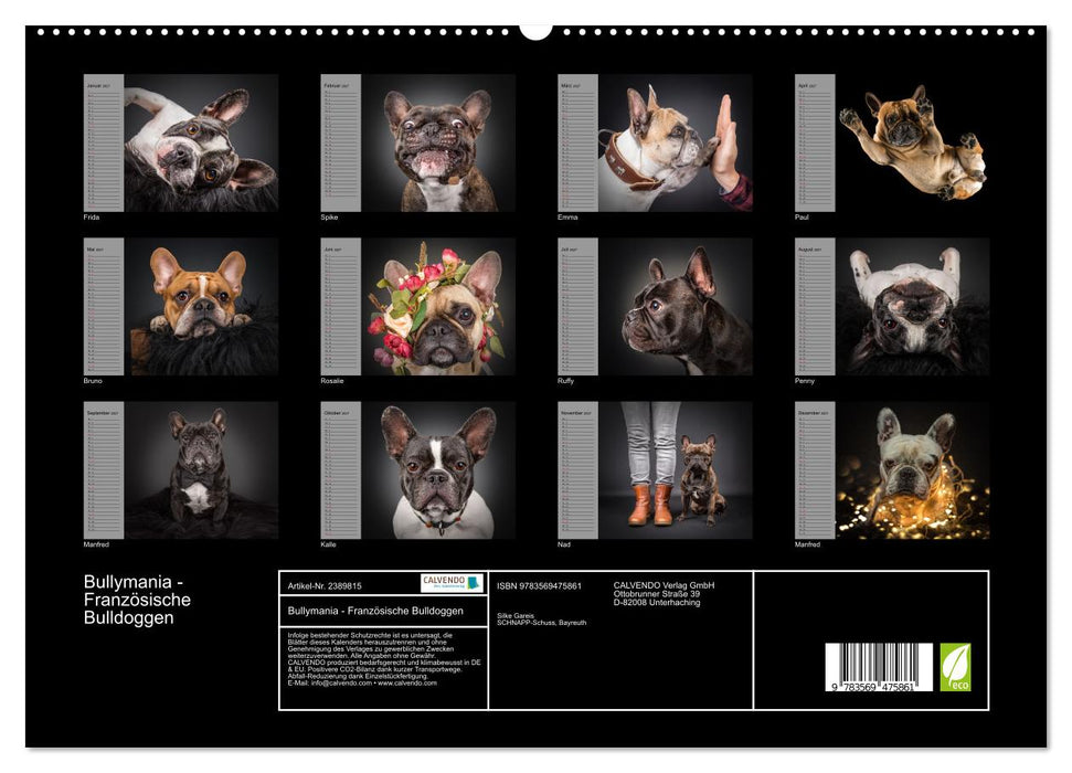 Bullymania - Französische Bulldoggen (CALVENDO Wandkalender 2027)