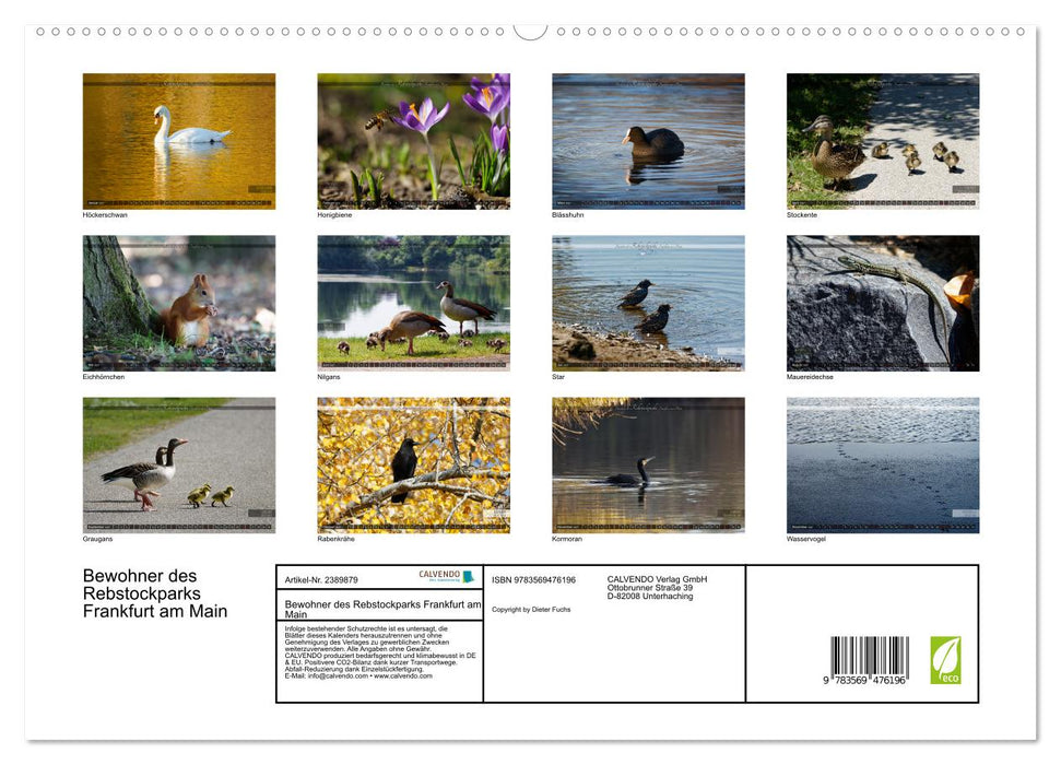 Bewohner des Rebstockparks Frankfurt am Main (CALVENDO Premium Wandkalender 2027)