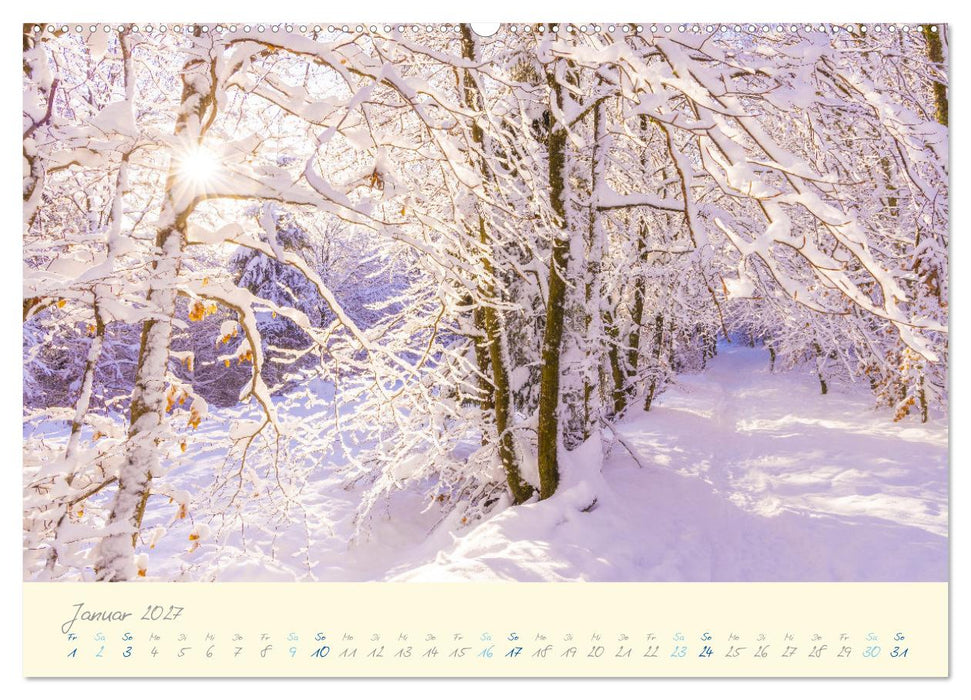 Abwechslungsreiche Pfalz (CALVENDO Wandkalender 2027)