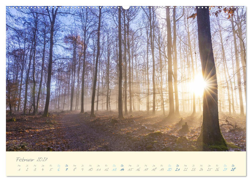 Abwechslungsreiche Pfalz (CALVENDO Wandkalender 2027)
