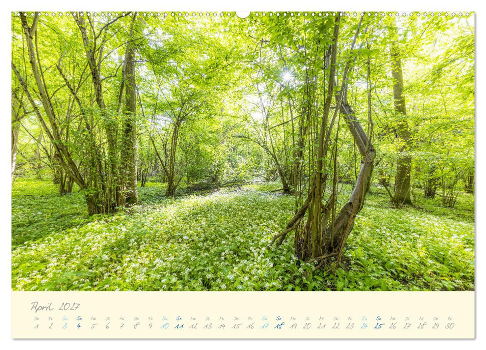 Abwechslungsreiche Pfalz (CALVENDO Wandkalender 2027)