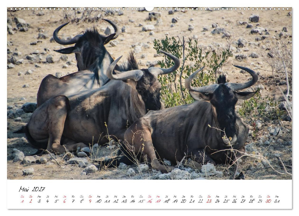 X Tage in Namibia – Ein Roadtrip im Süden von Afrika (CALVENDO Wandkalender 2027)