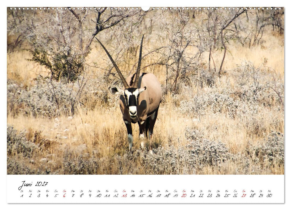 X Tage in Namibia – Ein Roadtrip im Süden von Afrika (CALVENDO Wandkalender 2027)