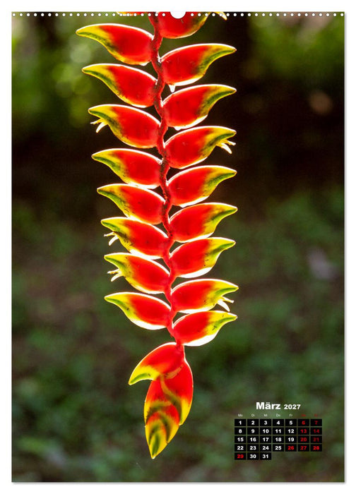 Peru - Kultur - Menschen - Natur (CALVENDO Premium Wandkalender 2027)