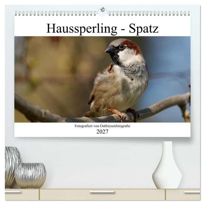 Haussperling - Spatz fotografiert von Ostfriesenfotografie (CALVENDO Premium Wandkalender 2027)