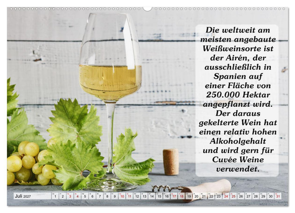 Wissenswertes über Wein (CALVENDO Premium Wandkalender 2027)