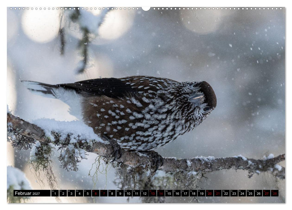Faszinierendes Oberengadin (CALVENDO Wandkalender 2027)