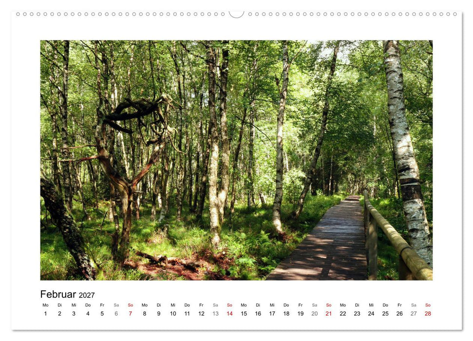 Rotes und Schwarzes Moor (CALVENDO Premium Wandkalender 2027)