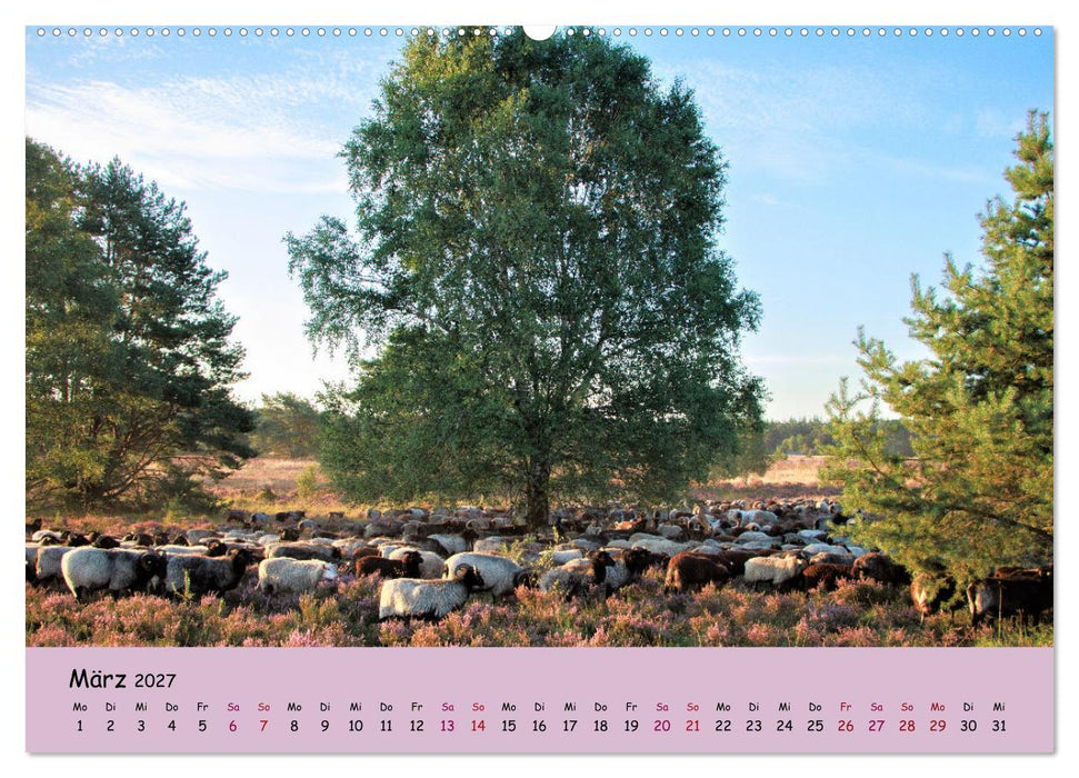 Lüneburger Heide Wege (CALVENDO Premium Wandkalender 2027)