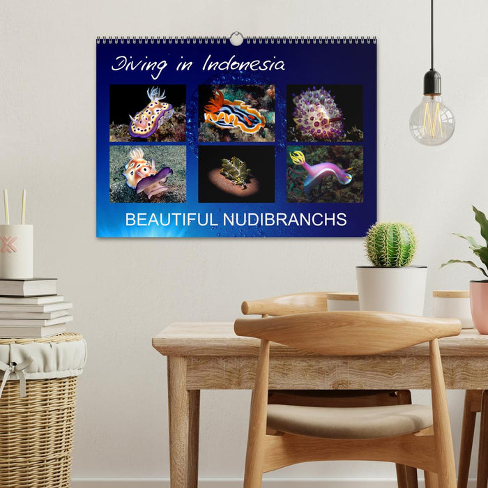 Diving in Indonesia - BEAUTIFUL NUDIBRANCHS (CALVENDO Monthly Calendar 2027)