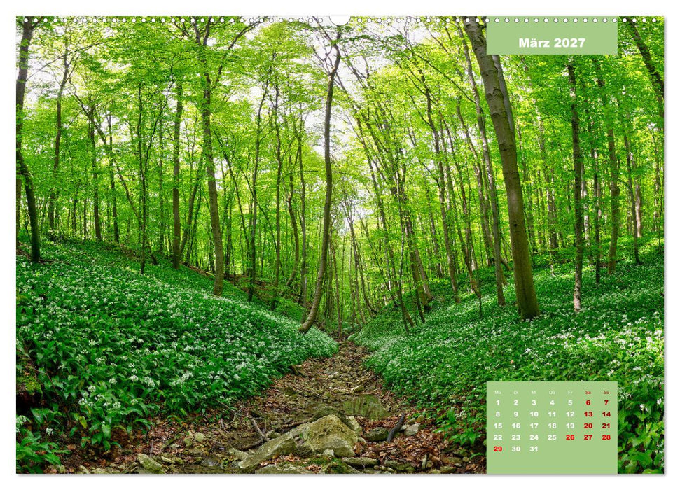 Farbenfrohe Heimat (CALVENDO Wandkalender 2027)