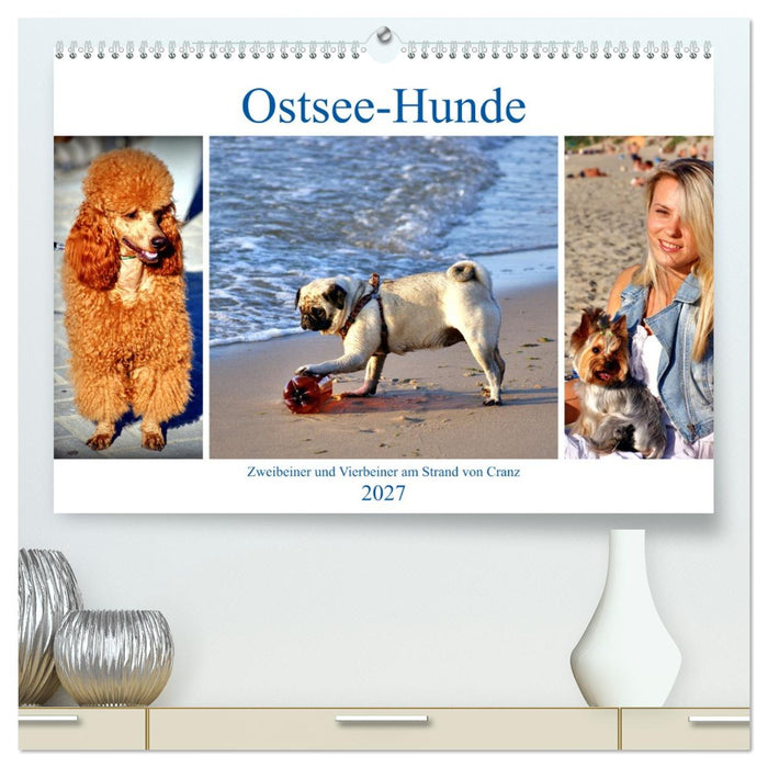 Ostsee-Hunde - Zweibeiner und Vierbeiner am Strand von Cranz (CALVENDO Premium Wandkalender 2027)