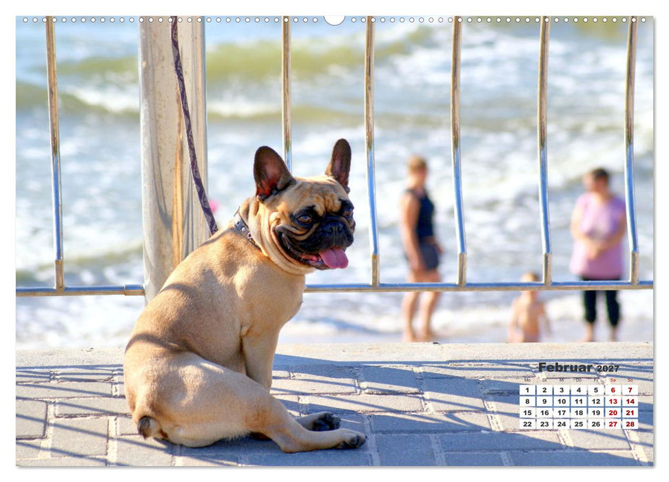 Ostsee-Hunde - Zweibeiner und Vierbeiner am Strand von Cranz (CALVENDO Premium Wandkalender 2027)