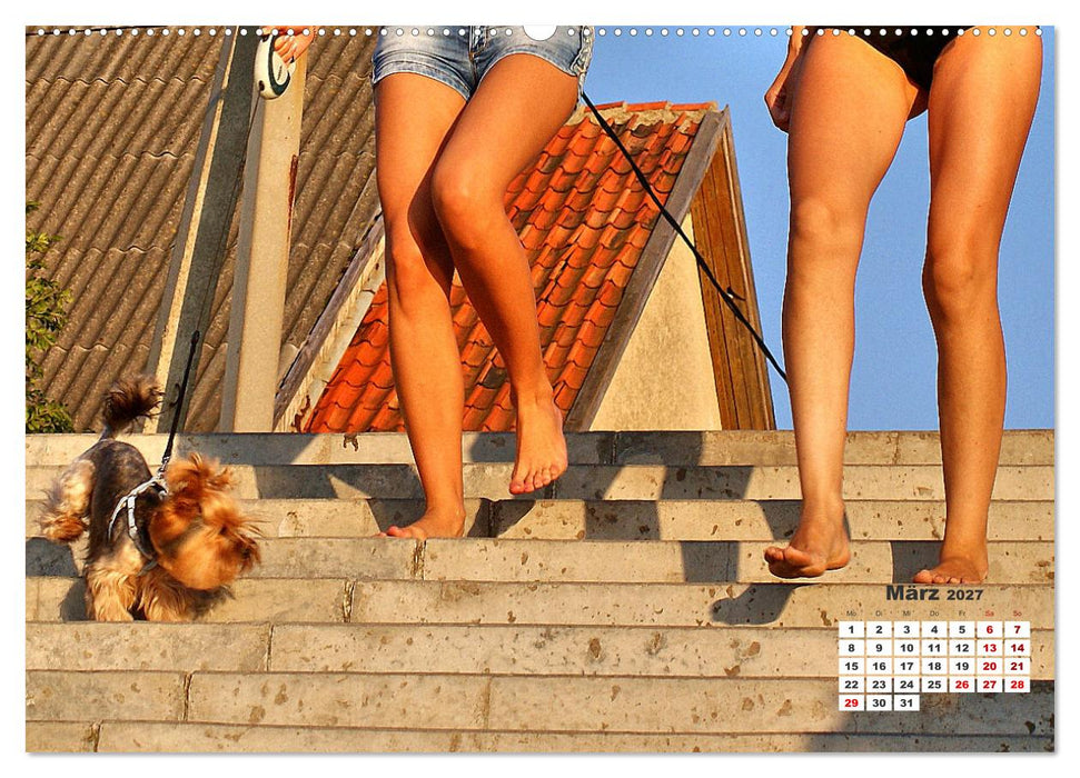 Ostsee-Hunde - Zweibeiner und Vierbeiner am Strand von Cranz (CALVENDO Premium Wandkalender 2027)