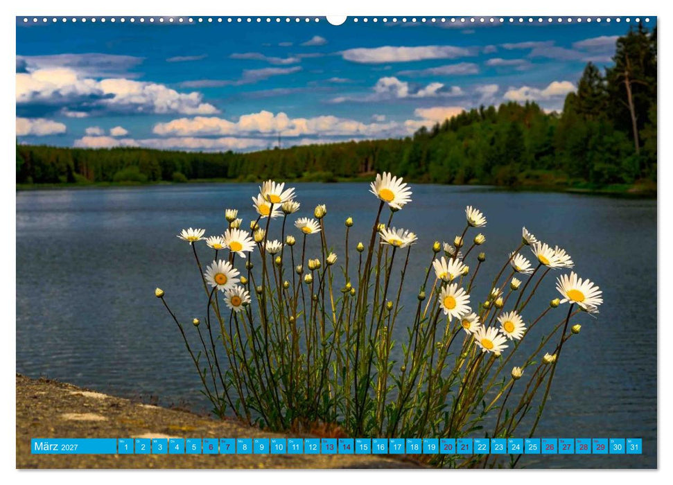Harzer Impressionen - Natur, Kultur und Geschichte (CALVENDO Wandkalender 2027)