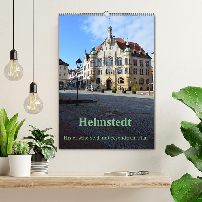 Helmstedt - Historische Stadt mit besonderem Flair (CALVENDO Wandkalender 2027)