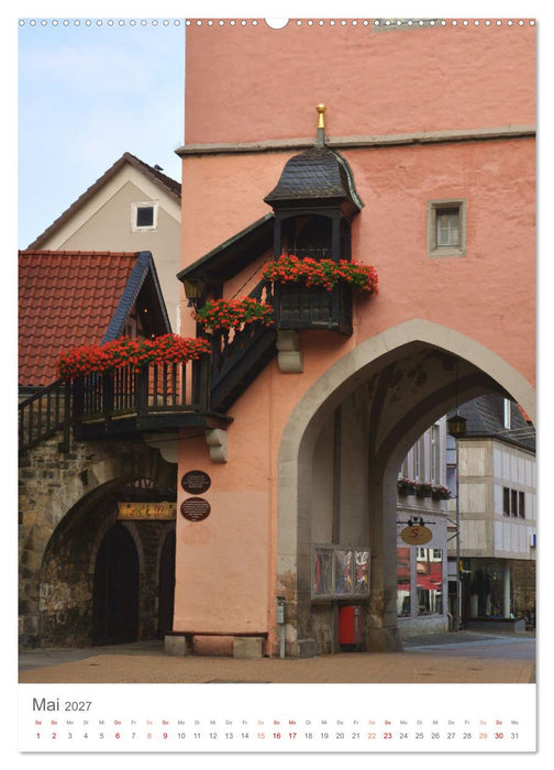 Helmstedt - Historische Stadt mit besonderem Flair (CALVENDO Wandkalender 2027)