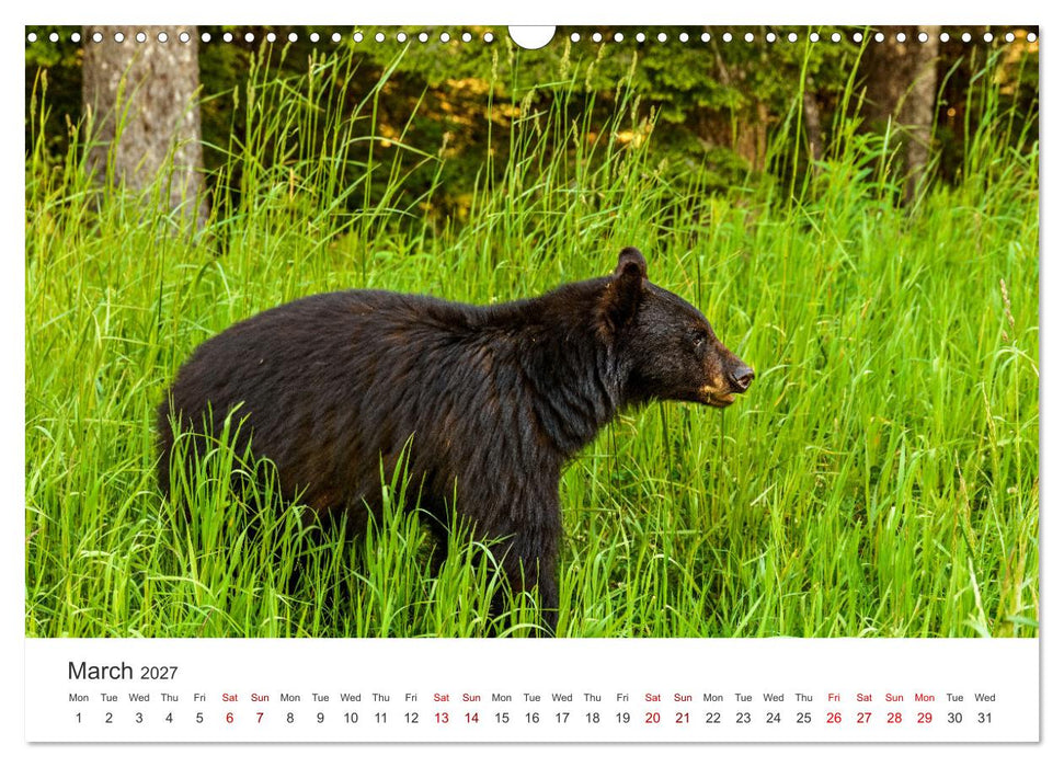 Yukon Wild (CALVENDO Monthly Calendar 2027)