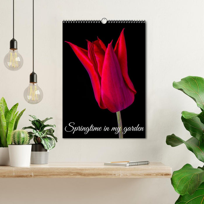 Springtime in my garden (CALVENDO Monthly Calendar 2027)