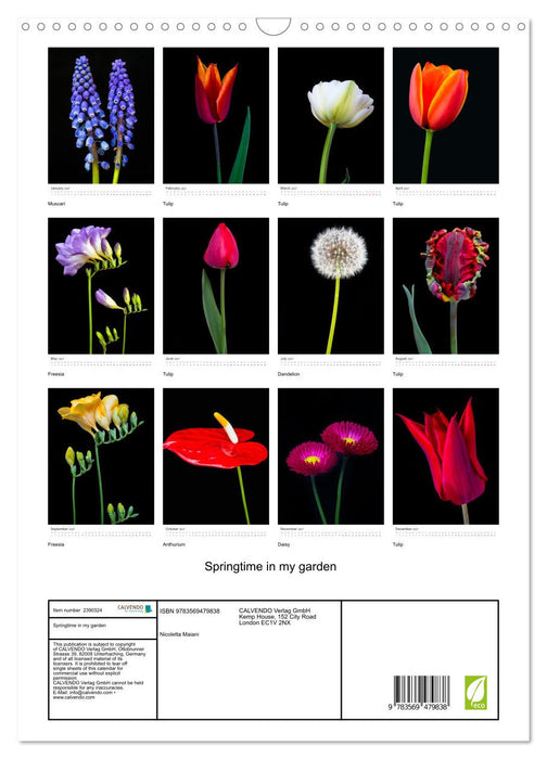Springtime in my garden (CALVENDO Monthly Calendar 2027)