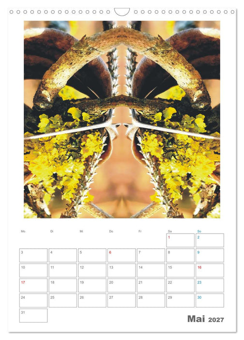 Axis Mater Naturae (CALVENDO Wandkalender 2027)