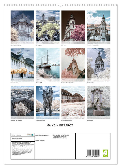 MAINZ IN INFRAROT (CALVENDO Premium Wandkalender 2027)