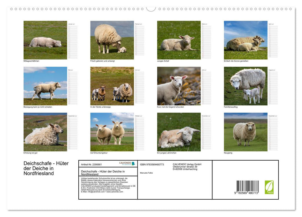 Deichschafe - Hüter der Deiche in Nordfriesland (CALVENDO Wandkalender 2027)