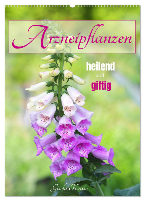 Arzneipflanzen - heilend und giftig (CALVENDO Wandkalender 2027)
