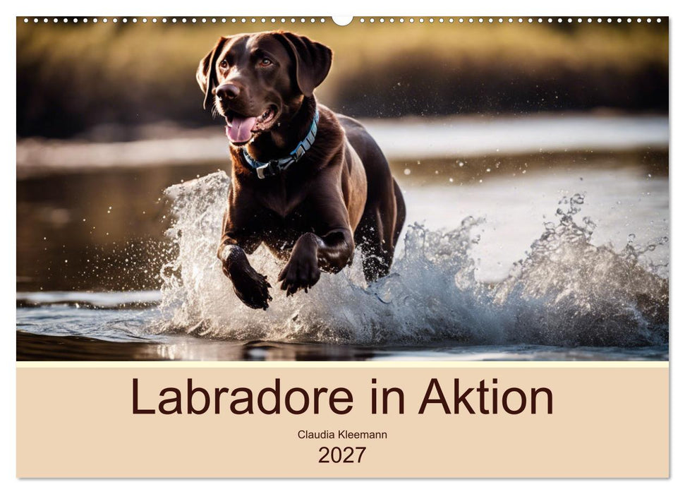 Labradore in Aktion (CALVENDO Wandkalender 2027)