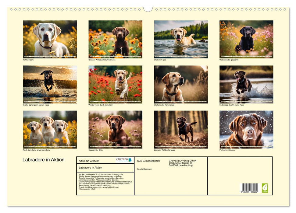 Labradore in Aktion (CALVENDO Wandkalender 2027)