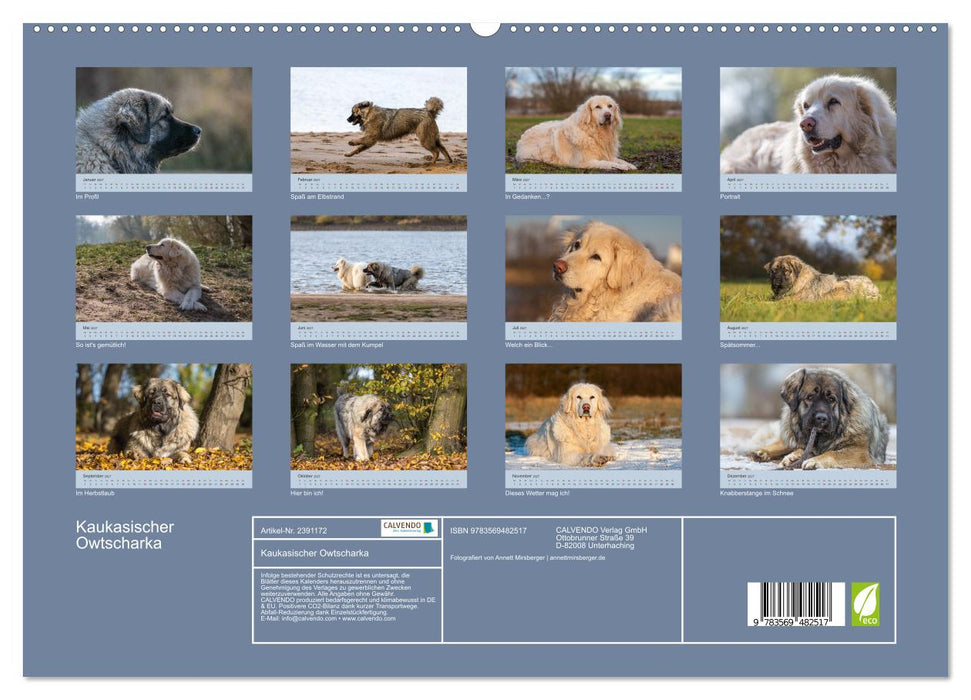 Kaukasischer Owtscharka (CALVENDO Premium Wandkalender 2027)