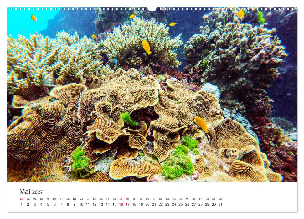 Faszination Australien - Impressionen vom Land Down Under (CALVENDO Wandkalender 2027)