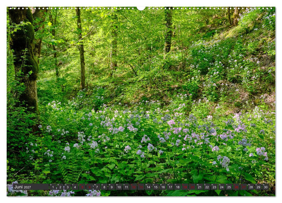 Naturschätze der Südwestalb (CALVENDO Premium Wandkalender 2027)